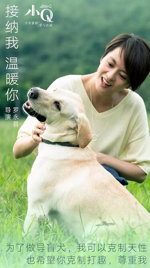 科罗拉多州ID驾驶执照样本照片